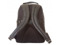 Кожаный рюкзак мужской Carlo Gattini Monfestino brown (арт. 3034-04)