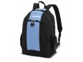 Школьный рюкзак WENGER 17222315 (объем 20 л, 32Х14Х45 см)